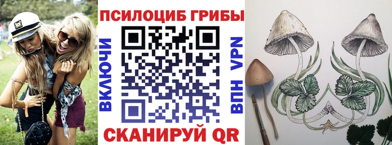 Галлюциногенные грибы GOLDEN TEACHER  купить наркотик  Называевск 