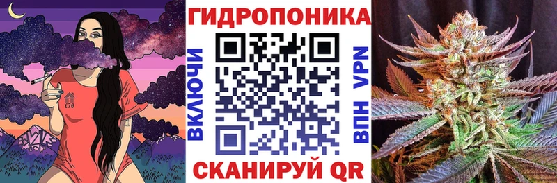 купить наркотики цена  Называевск  Канабис ГИДРОПОН 